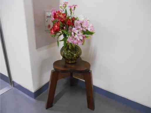 DSCN5834