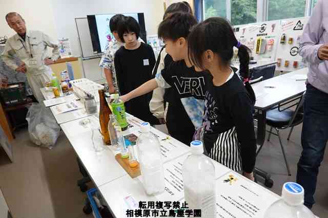 s-DSC01529