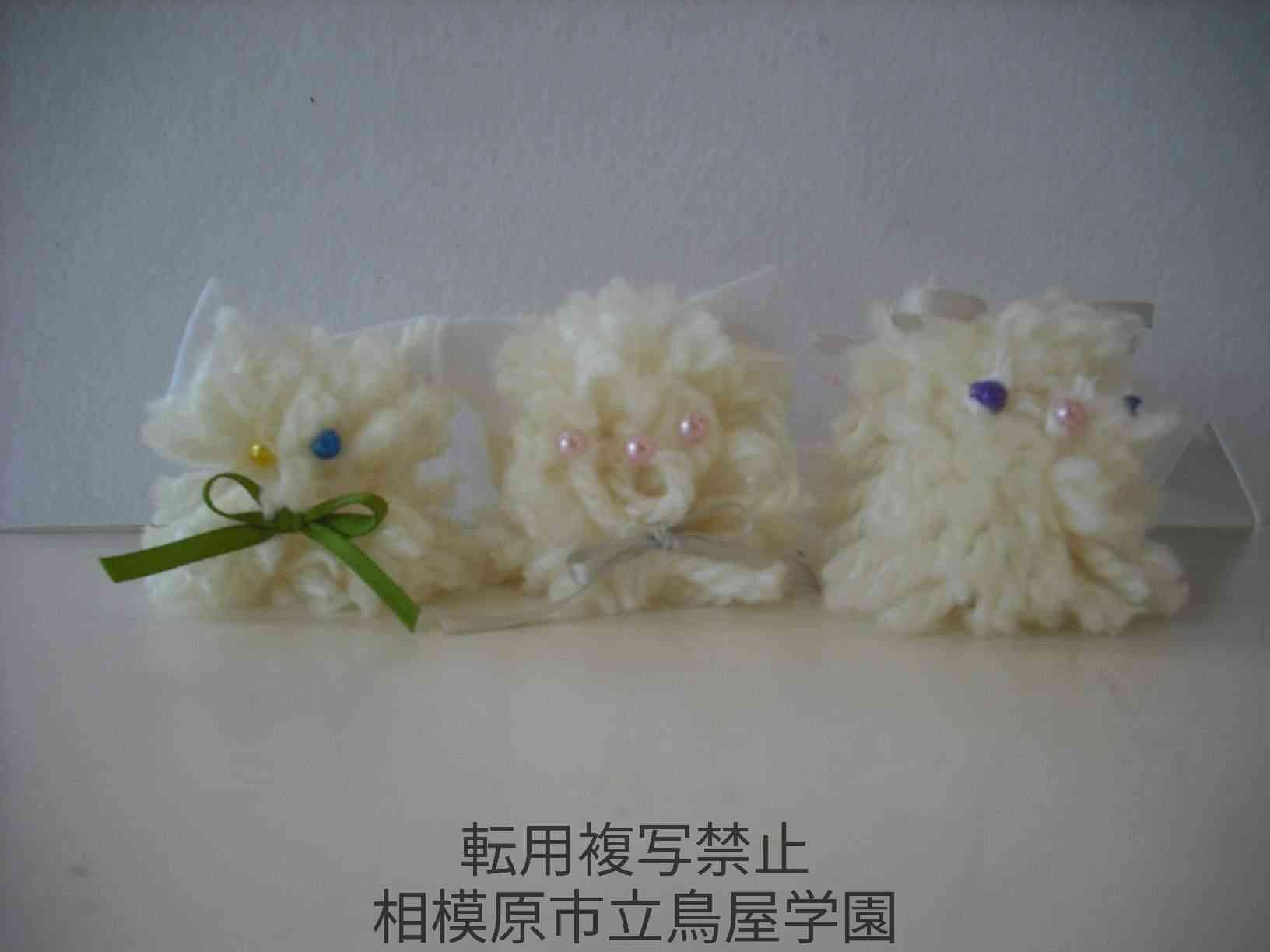 DSCF1011 (1)