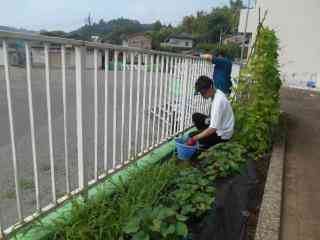 DSCN2340