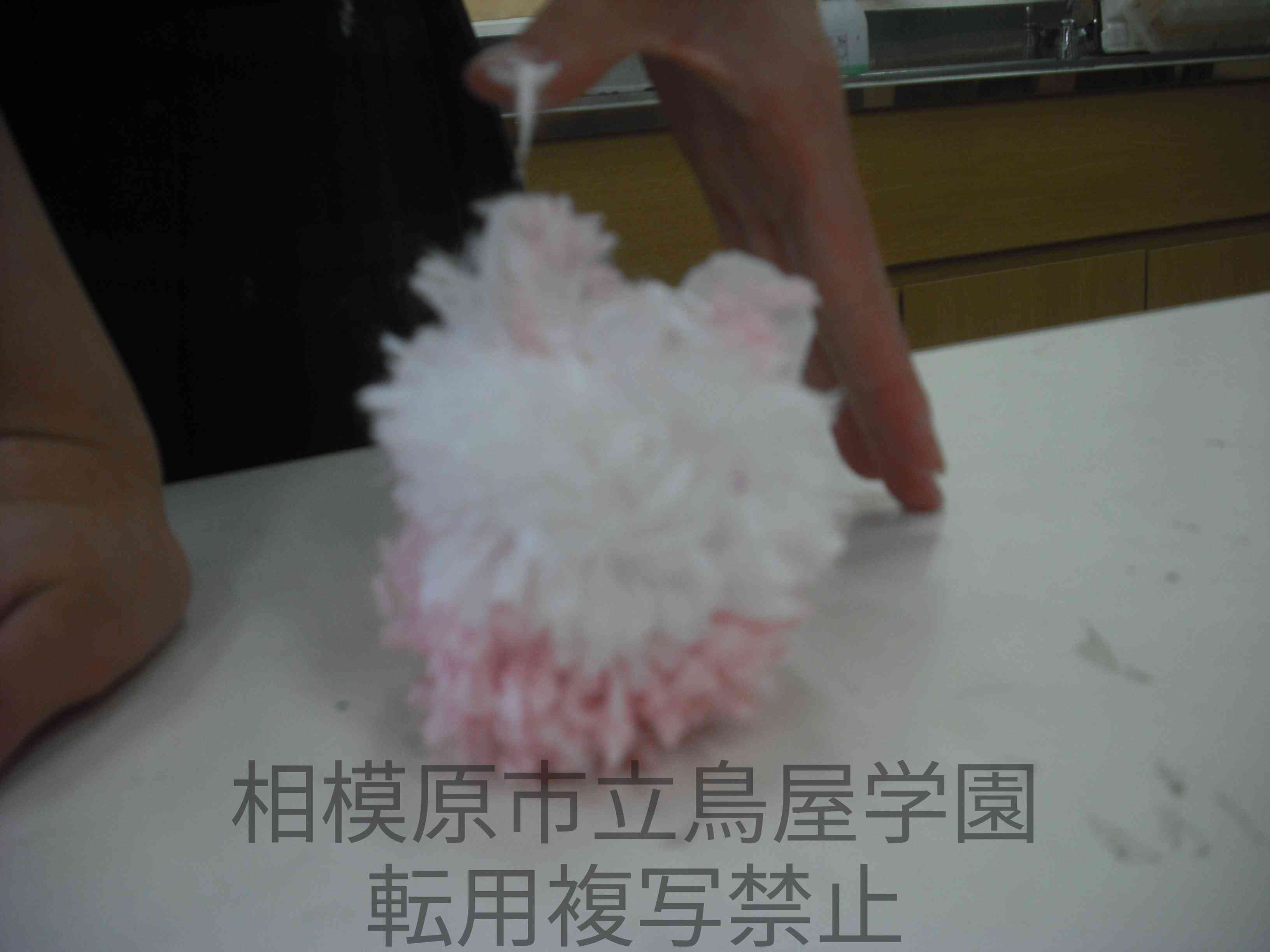 DSCF1016