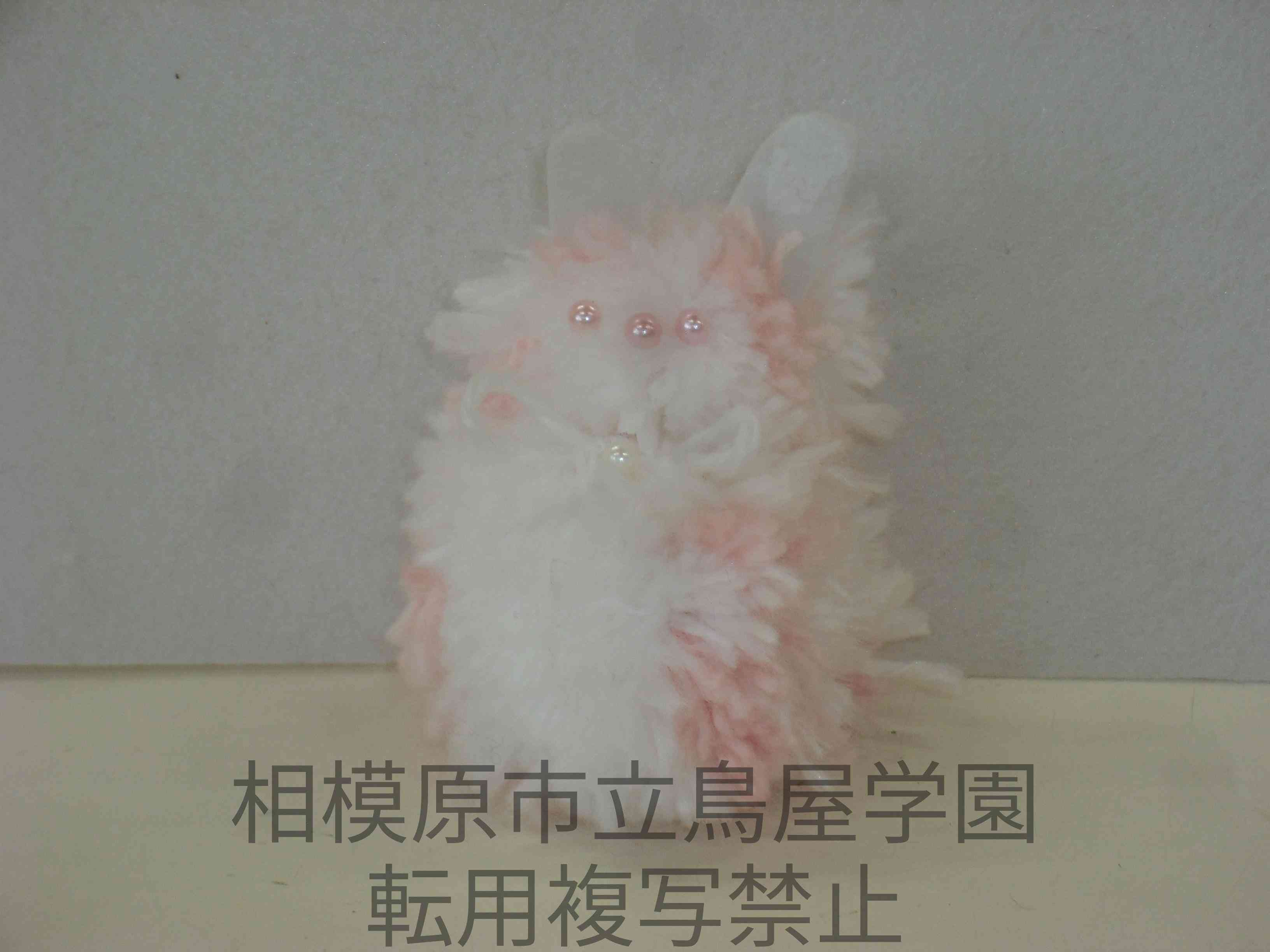 DSCF1020