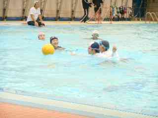 DSCN2379