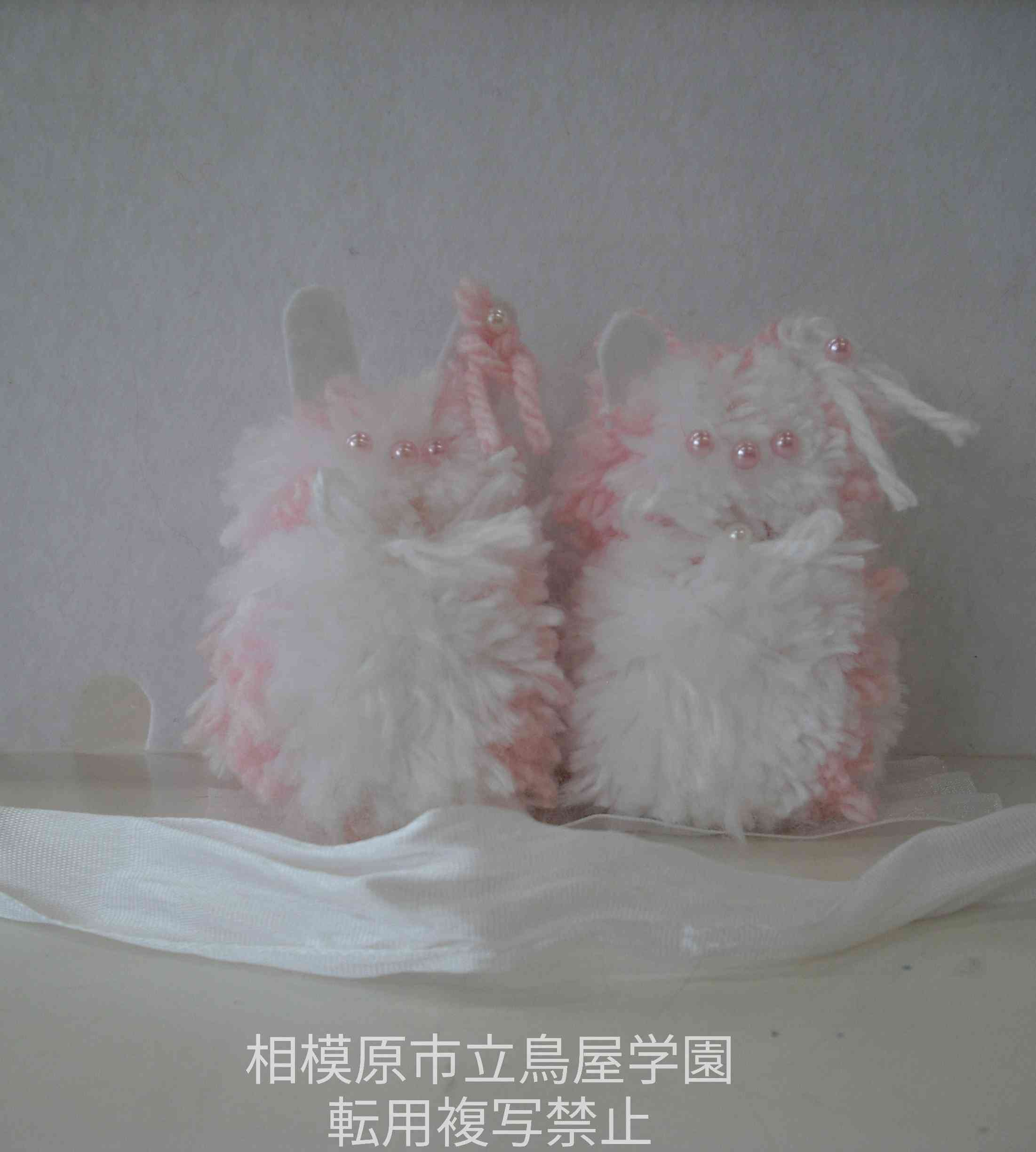 DSCF1030