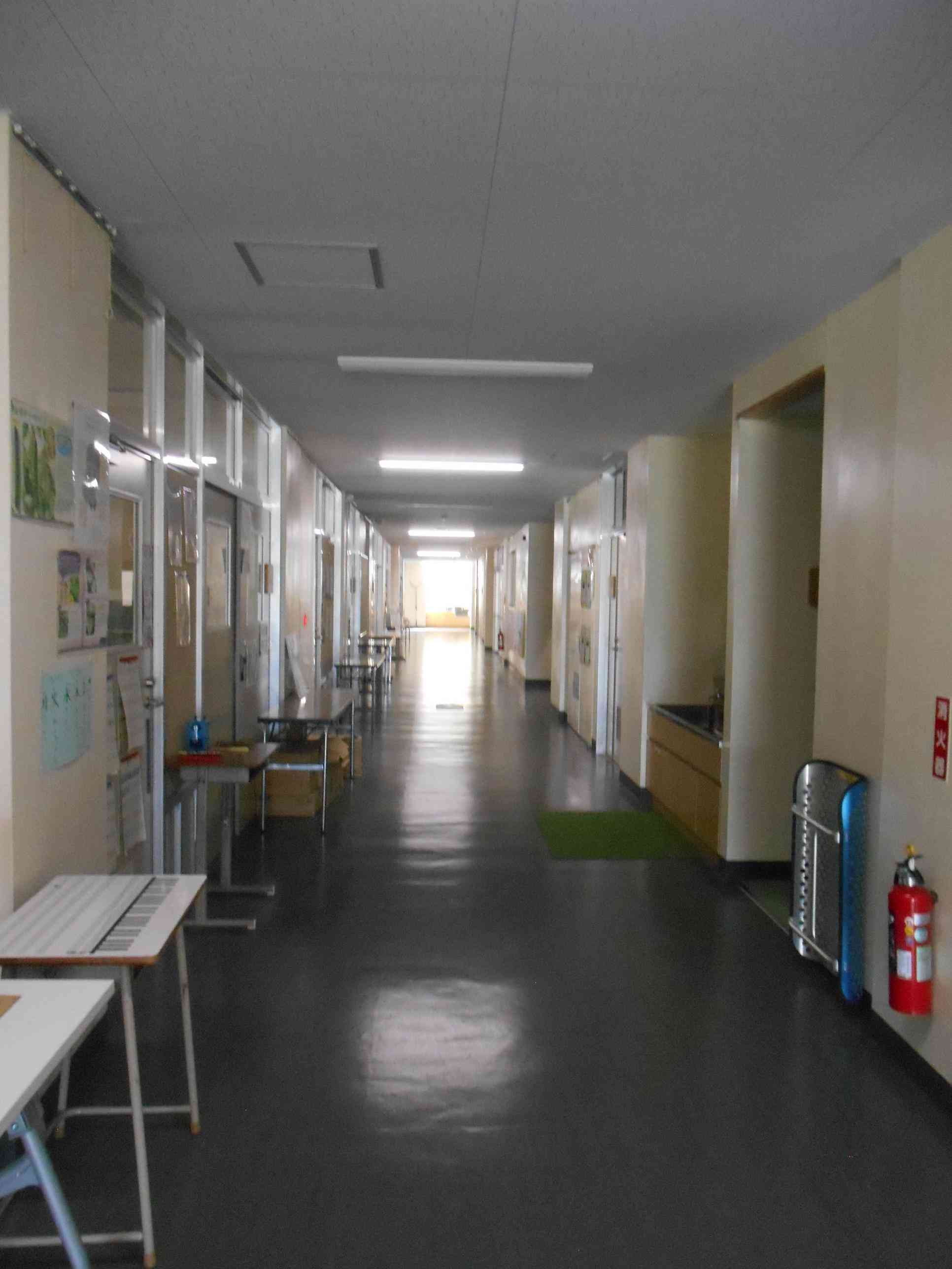 DSCN6431
