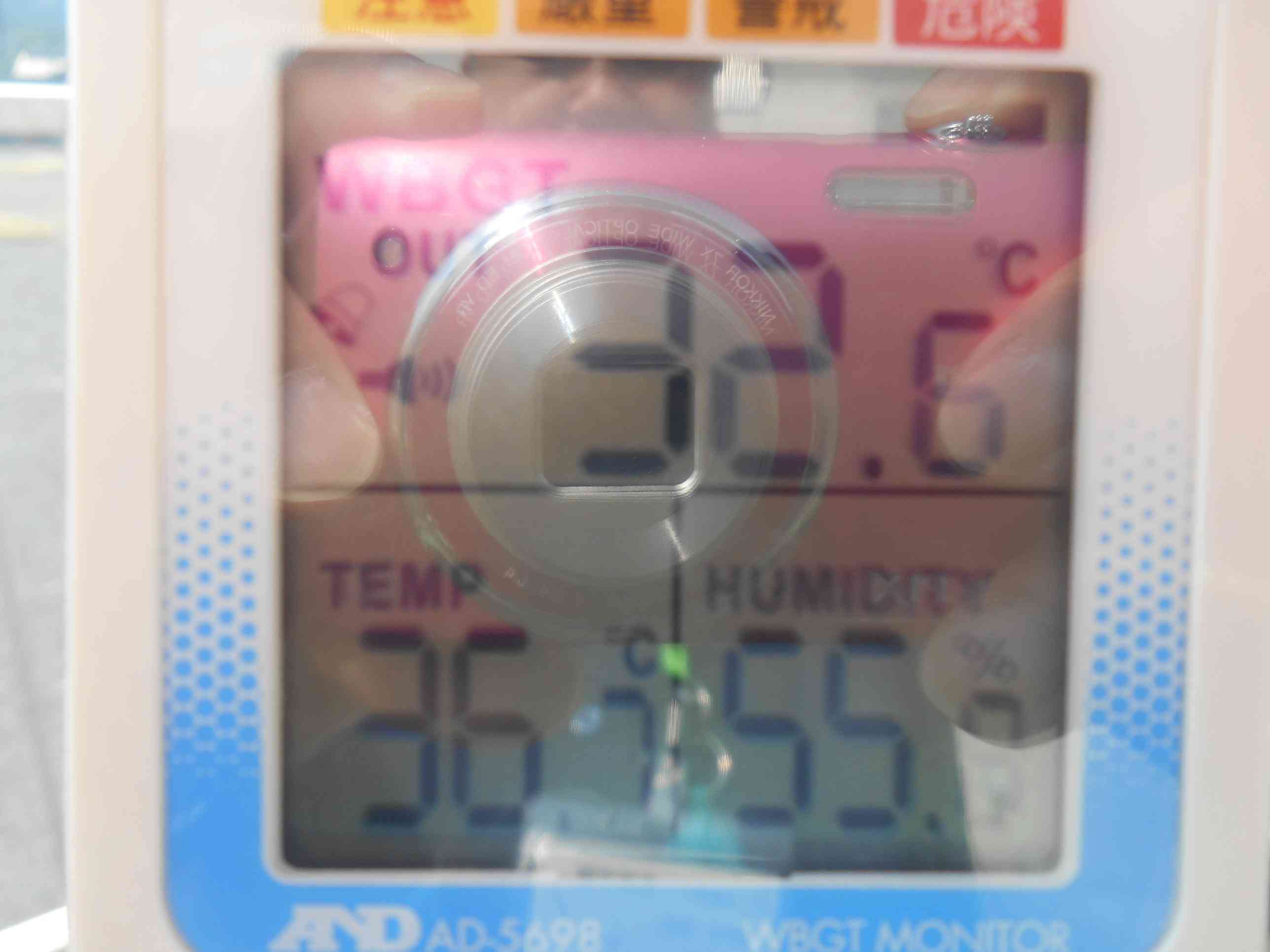 DSCN6458