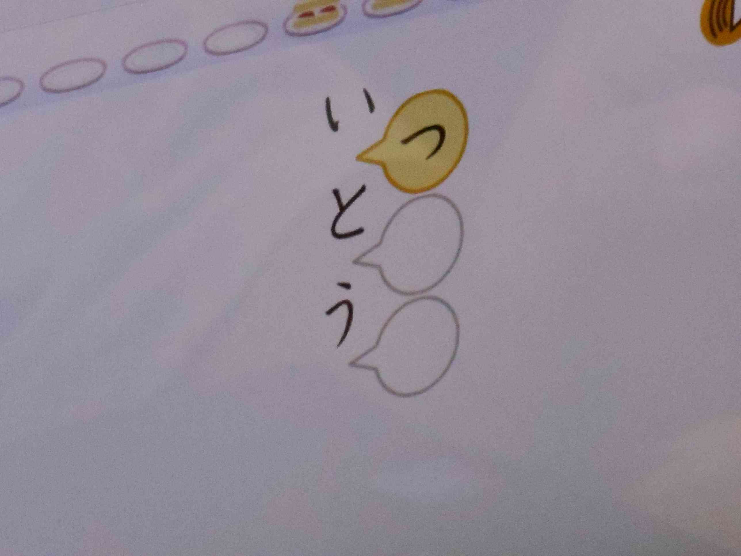 DSCN6561