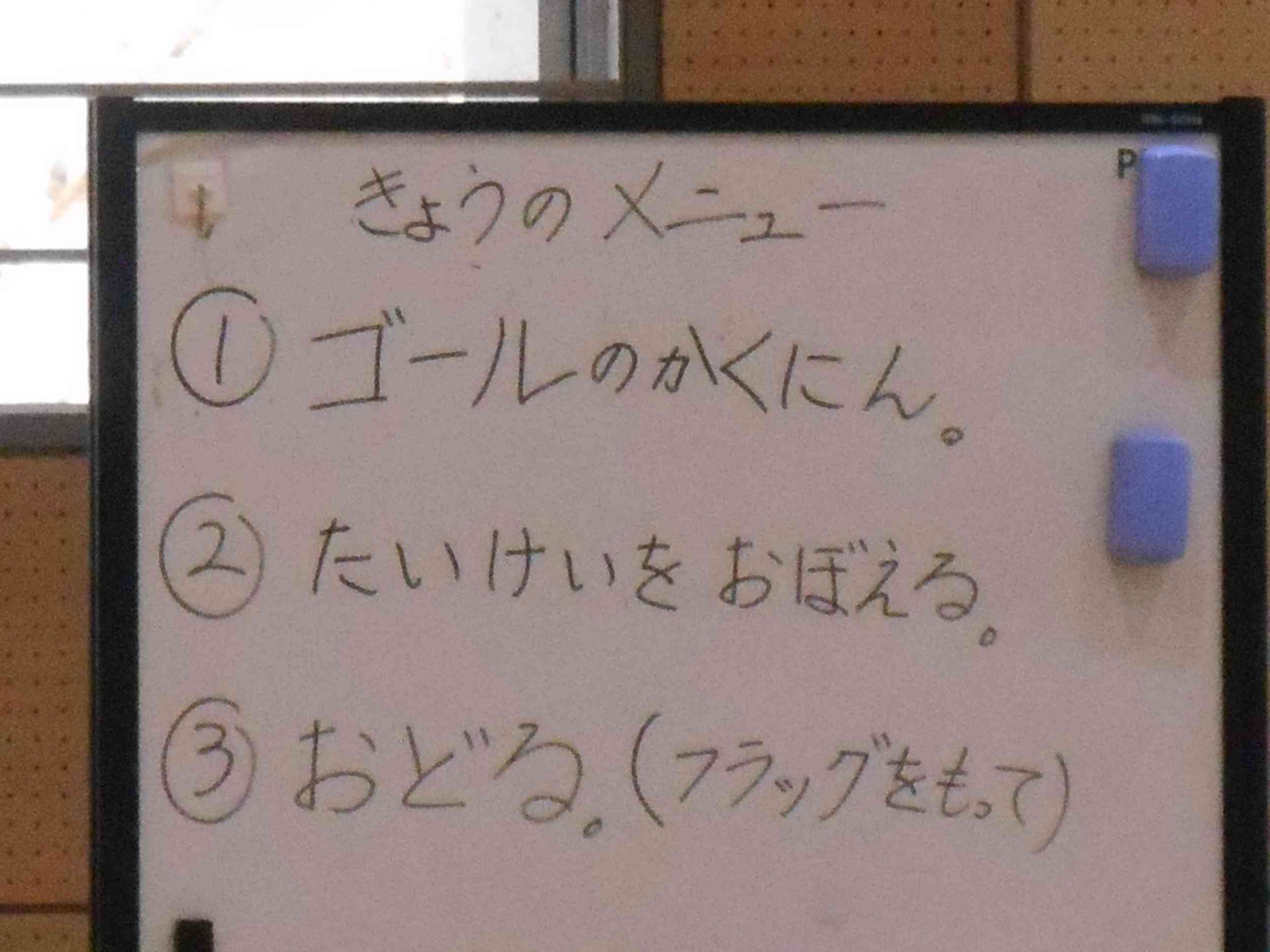 DSCN6589