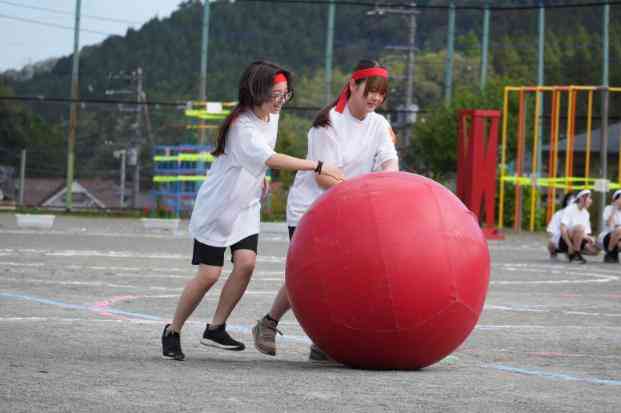 DSC01439 (1)